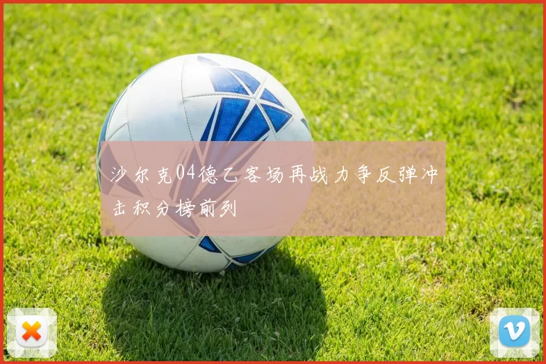 沙尔克04德乙客场再战力争反弹冲击积分榜前列