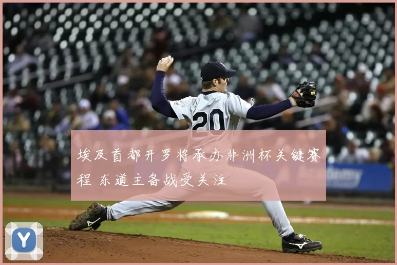 埃及首都开罗将承办非洲杯关键赛程 东道主备战受关注