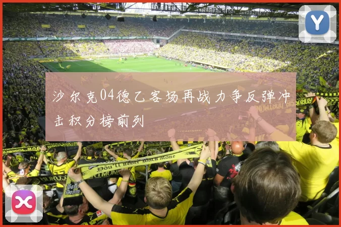 沙尔克04德乙客场再战力争反弹冲击积分榜前列
